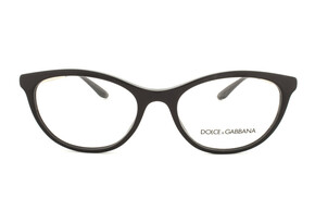 Dolce & Gabbana DG3310 501